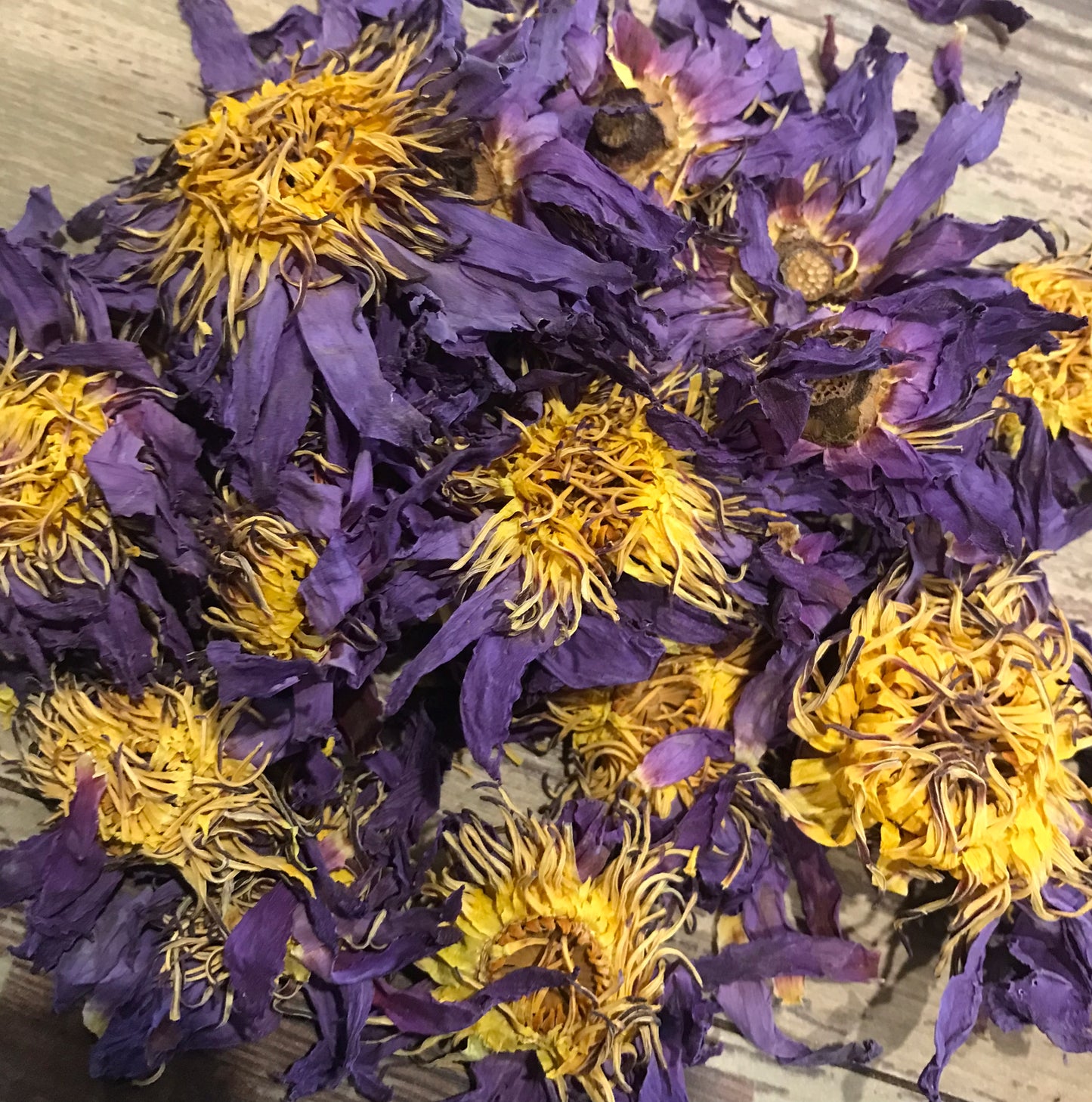 Bulk Egyptian Blue Lotus 1/2 oz
