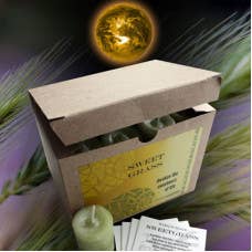 World Magic Sweet Grass Votive