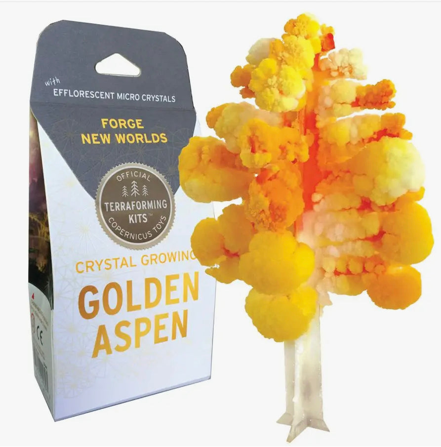 Crystal Growing Aspen Kit