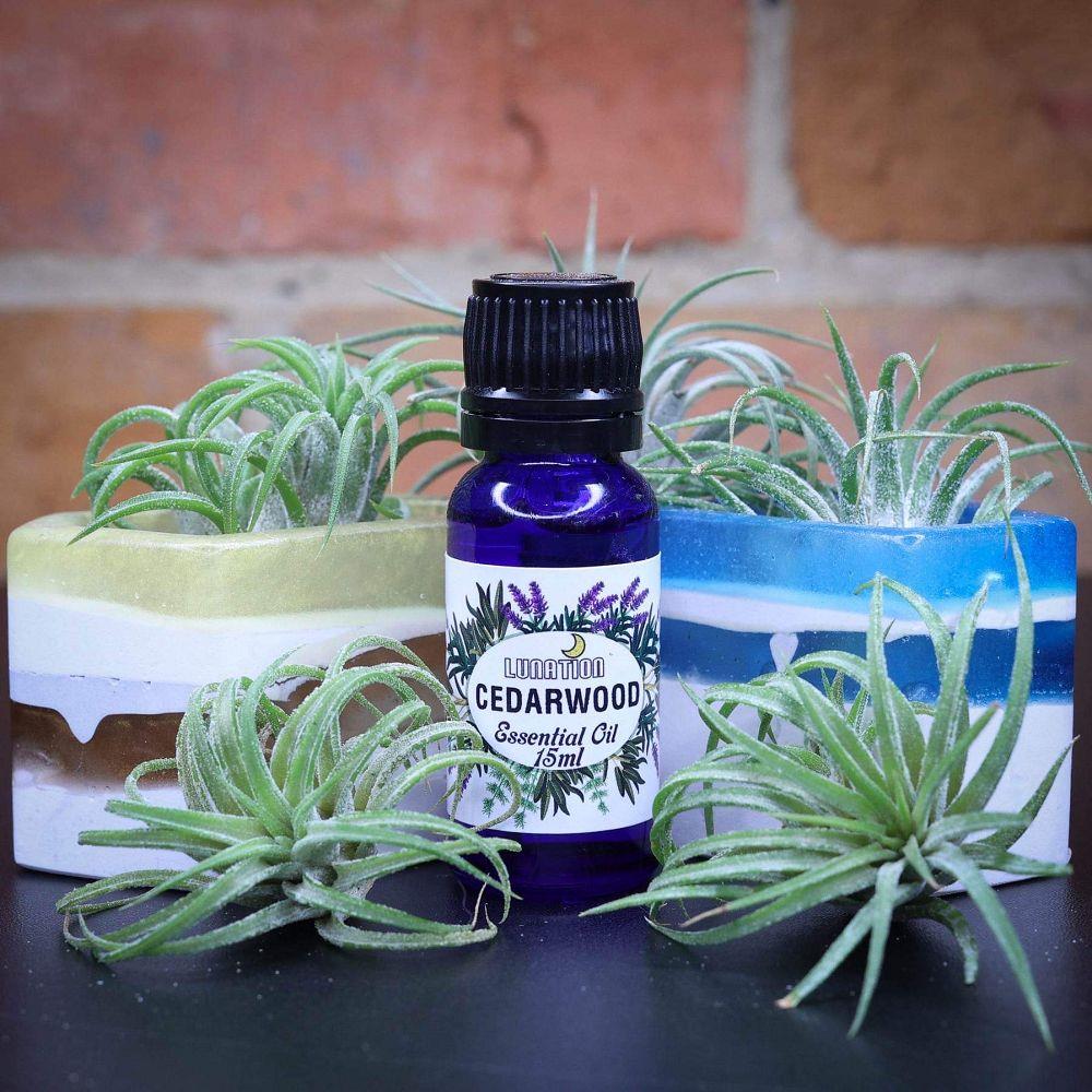Cedarwood Essential Oil 15ml LS