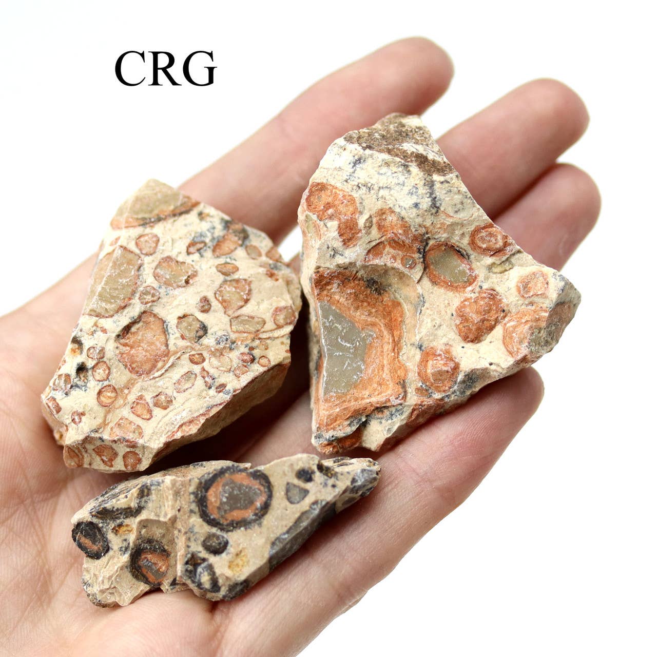 Rough Peru Leopardite Jasper 25-40mm Avg