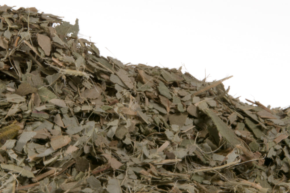 Bulk Eucalyptus Leaf 1oz