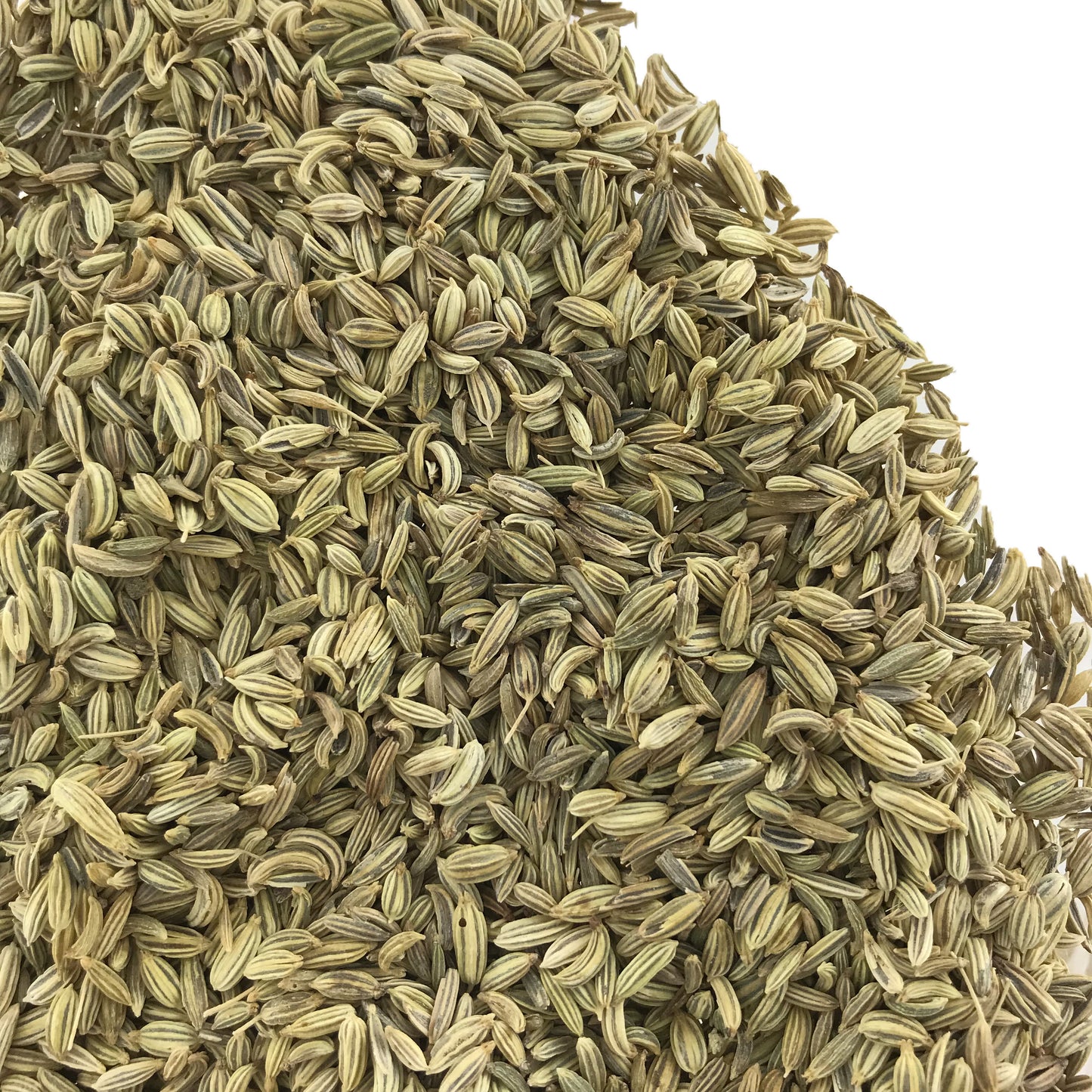 Bulk Fennel Seed Whole 1 oz