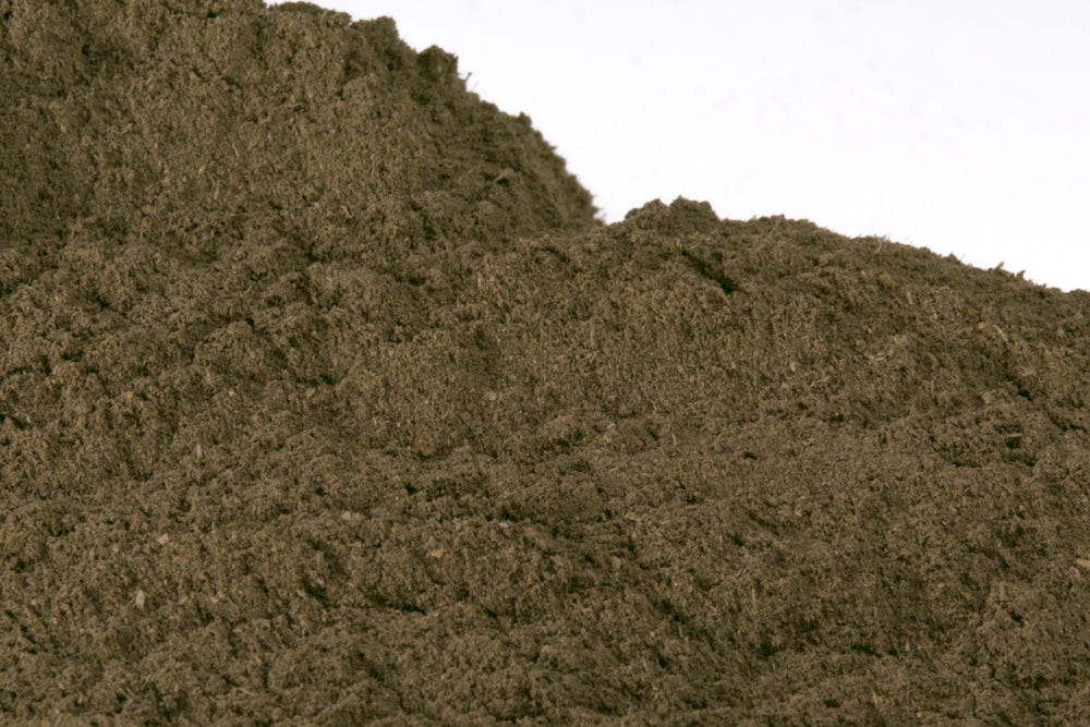 Bulk Gotu Kola Powder - 1oz