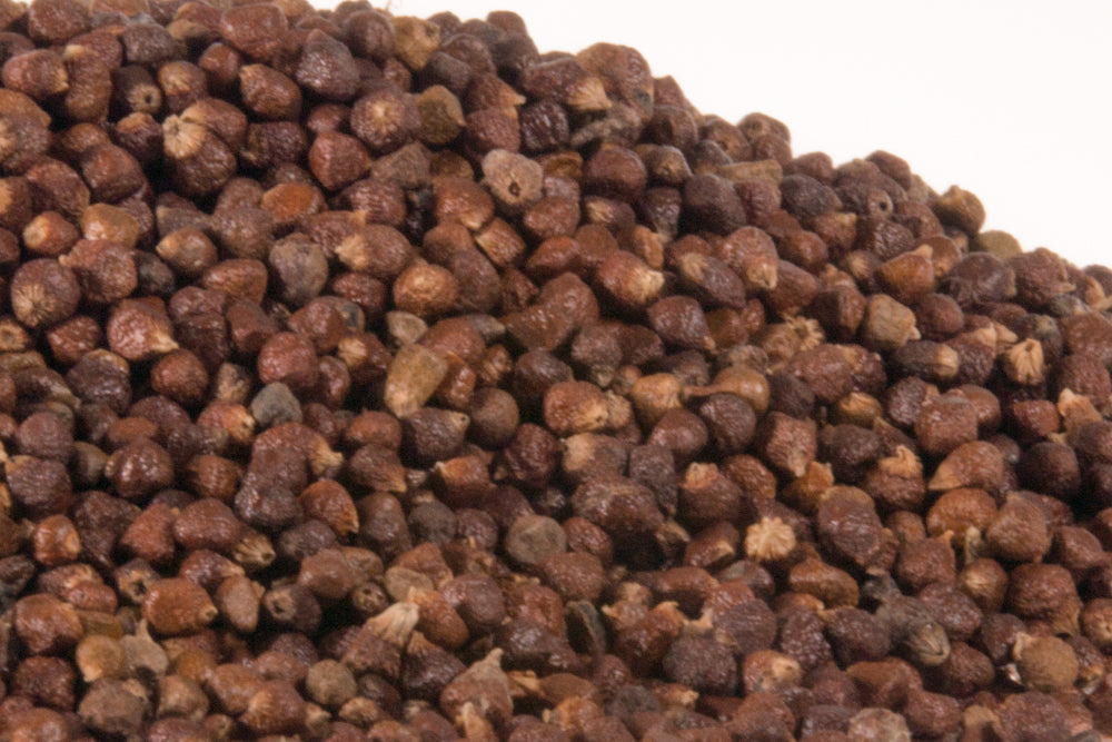 Bulk Grains of Paradise 1 oz