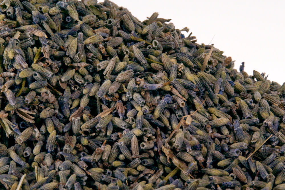 Bulk Premium Lavender Flower 1oz