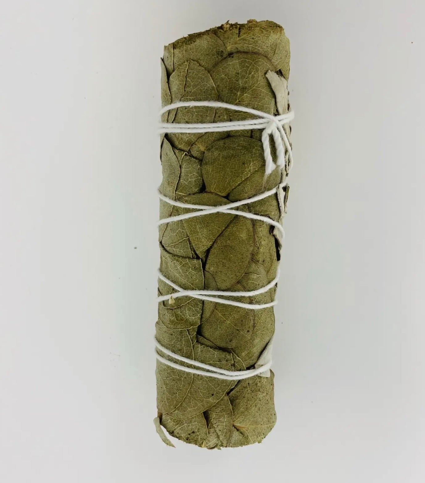 Mini White Sage with Eucalyptus