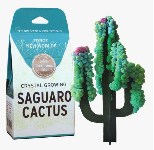 Crystal Growing Cactus Kit