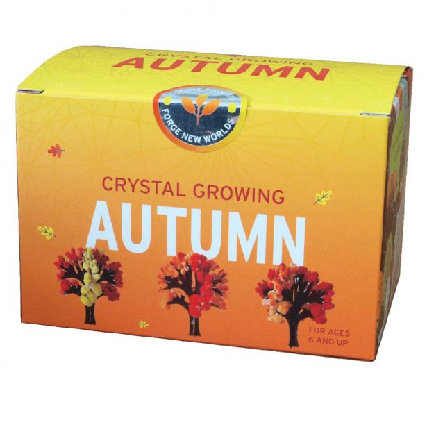 Crystal Growing Autumn Kit
