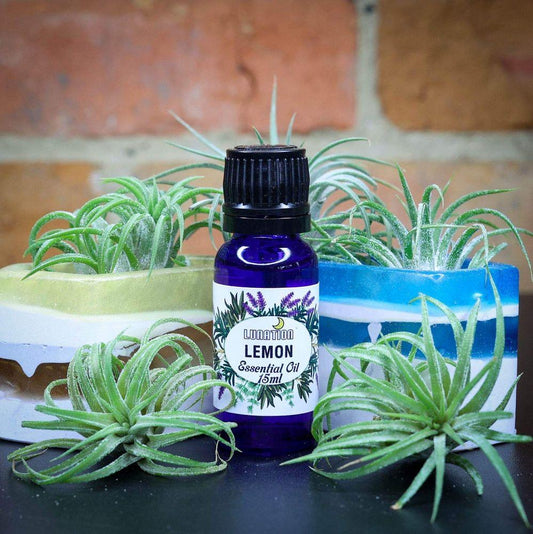 Lemon Essential Oil 15ml LS
