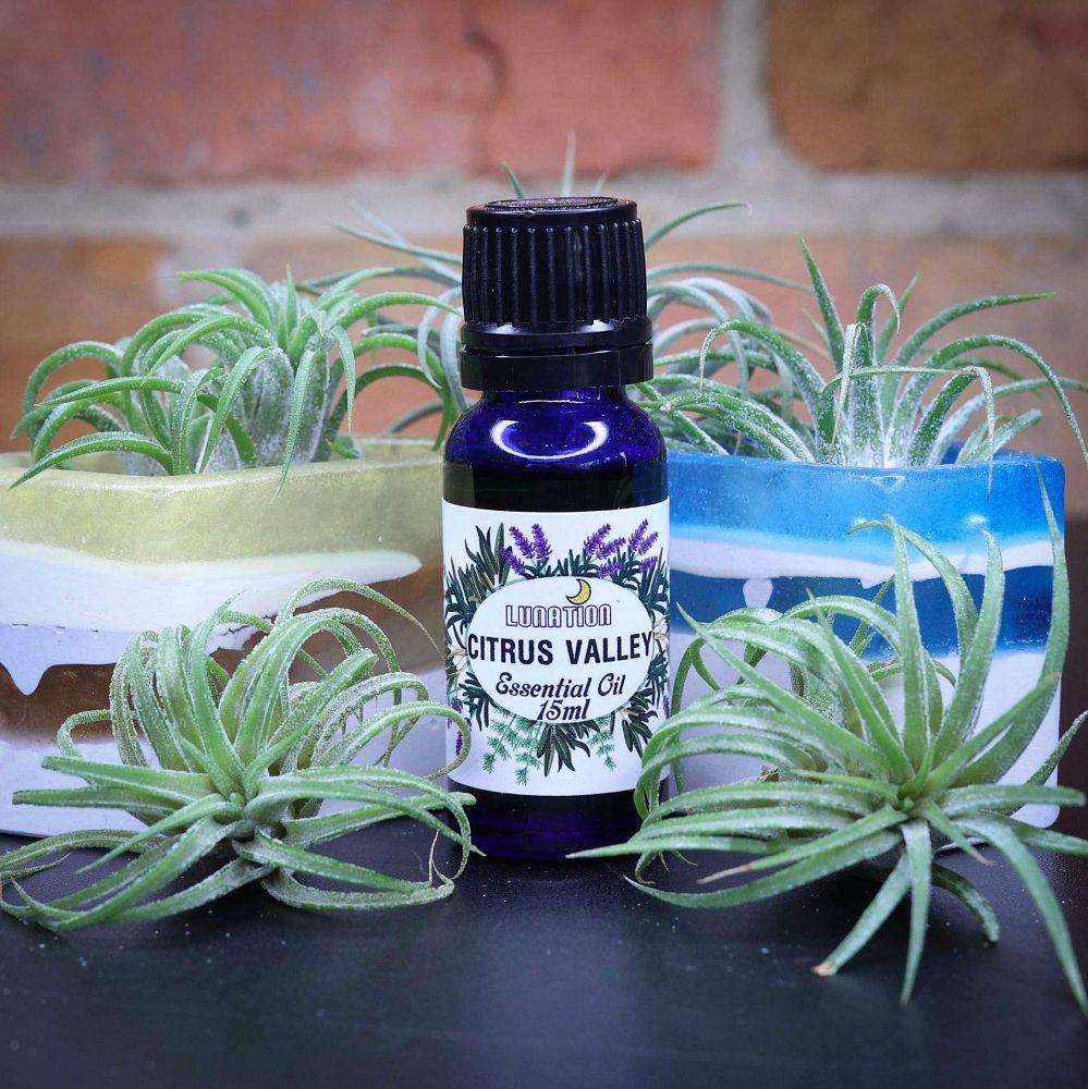 Citrus Valley Essential Oil 15