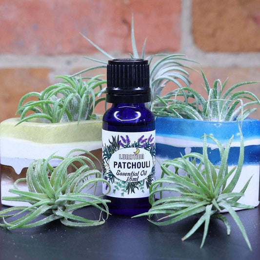Patchouli Essential Oil 15ml LS