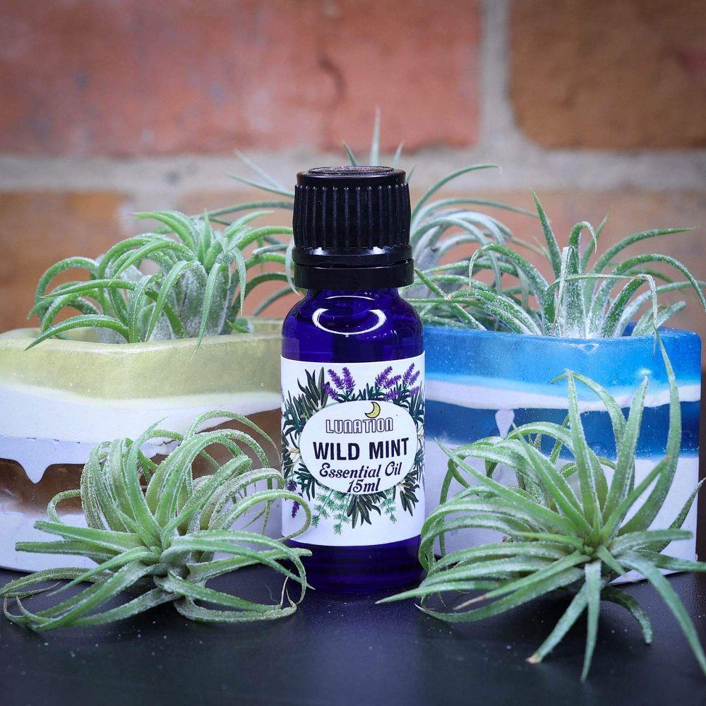 Wild Mint Essential Oil 15ml LS