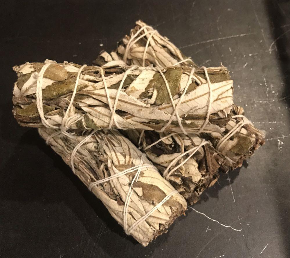 Mini Yerba Santa Sage