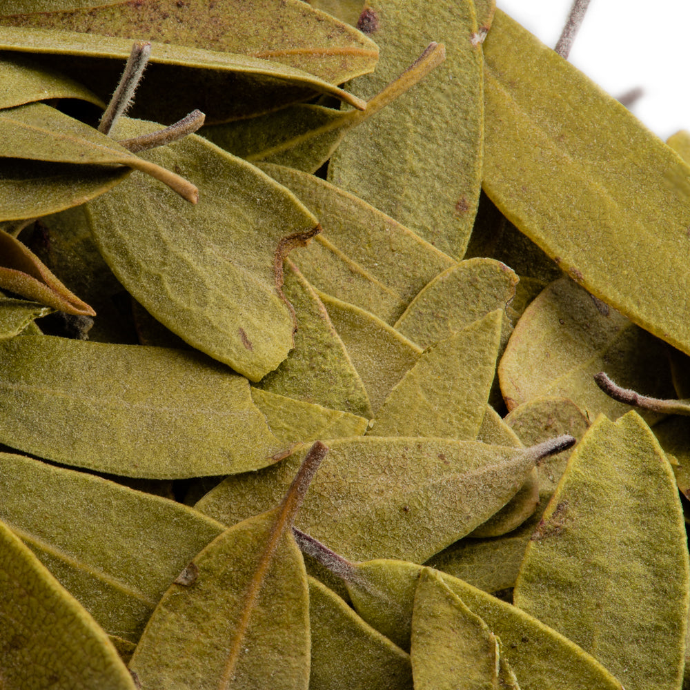 Bulk Bay Leaves - Laurel 1 oz