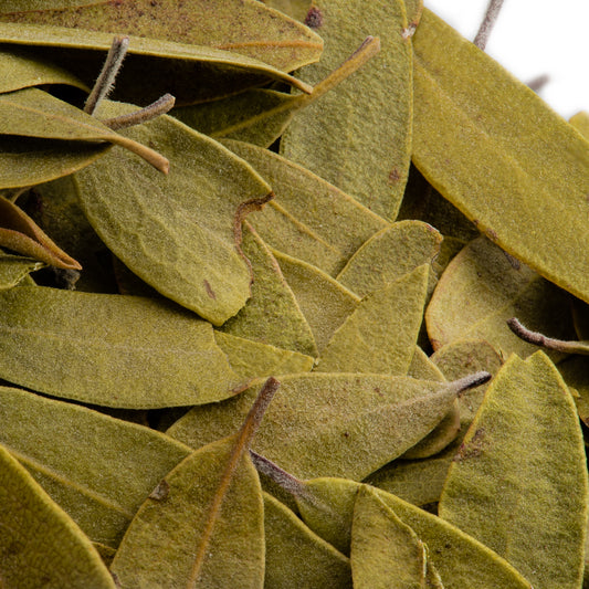 Bulk Bay Leaves - Laurel 1 oz