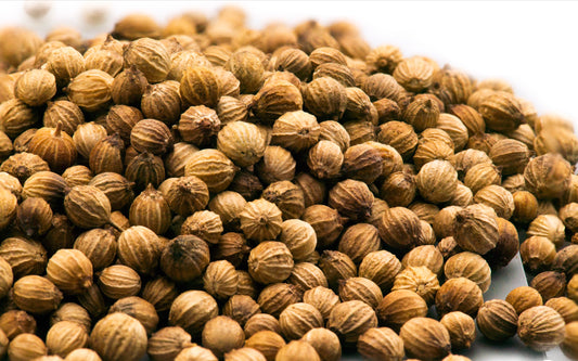 Bulk Coriander Seeds, Whole 1 oz
