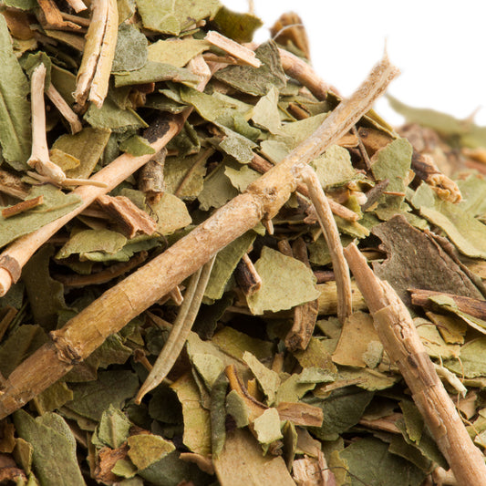 Bulk Ginkgo Leaf 1 oz