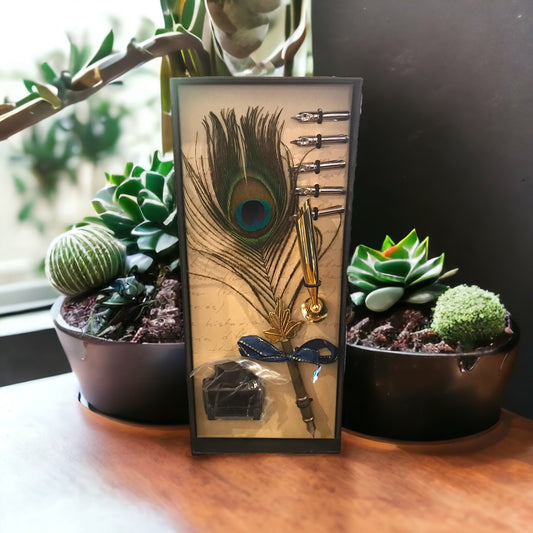 Peacock Feather & Ink Calligraphy Set