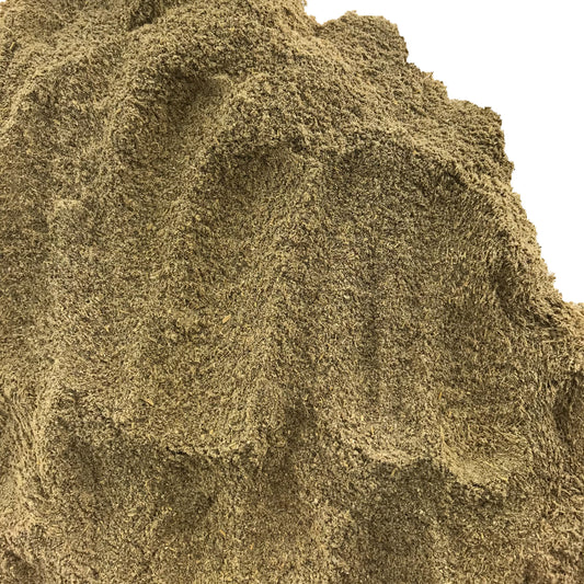 Bulk Angelica Root Powder 1 oz