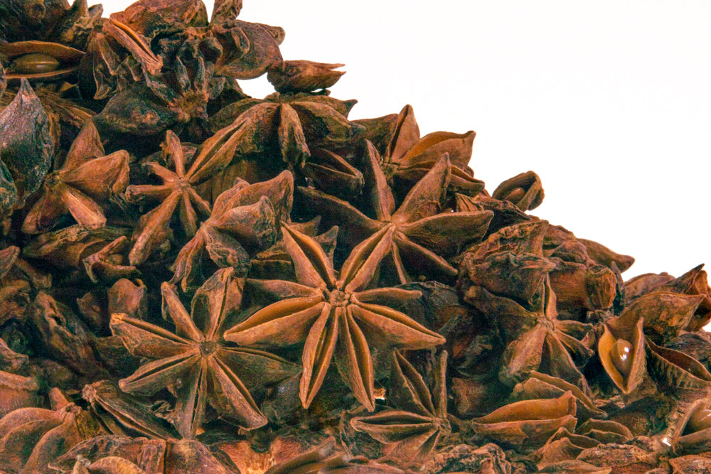 Bulk Anise Star Pods - 1oz
