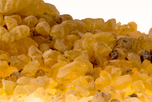 Bulk Copal Resin - 1oz