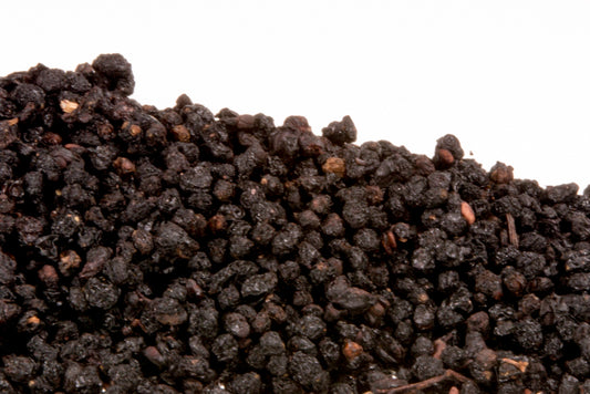 Bulk Elderberries Whole 1 oz