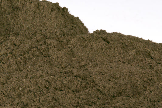 Bulk Gotu Kola Powder - 1oz