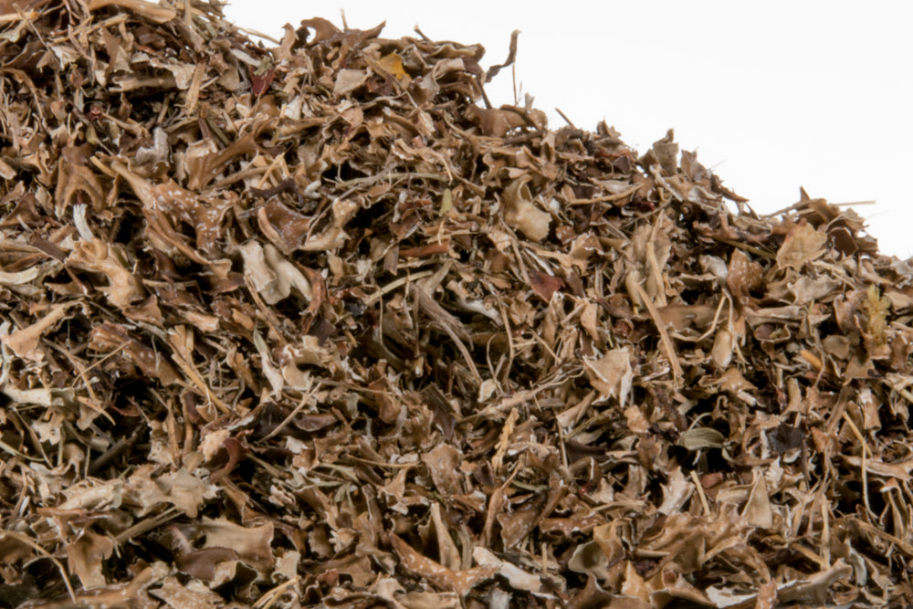Bulk Icelandic Moss - 1oz