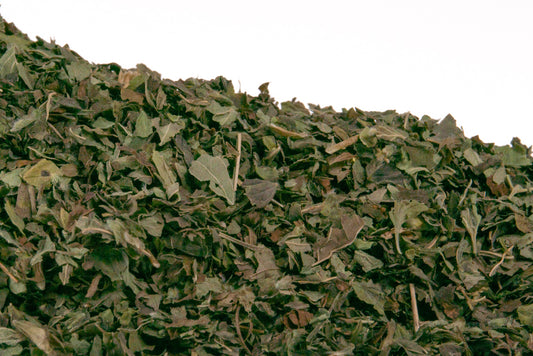 Bulk Lemon Balm Cut/Sifted - 1 oz